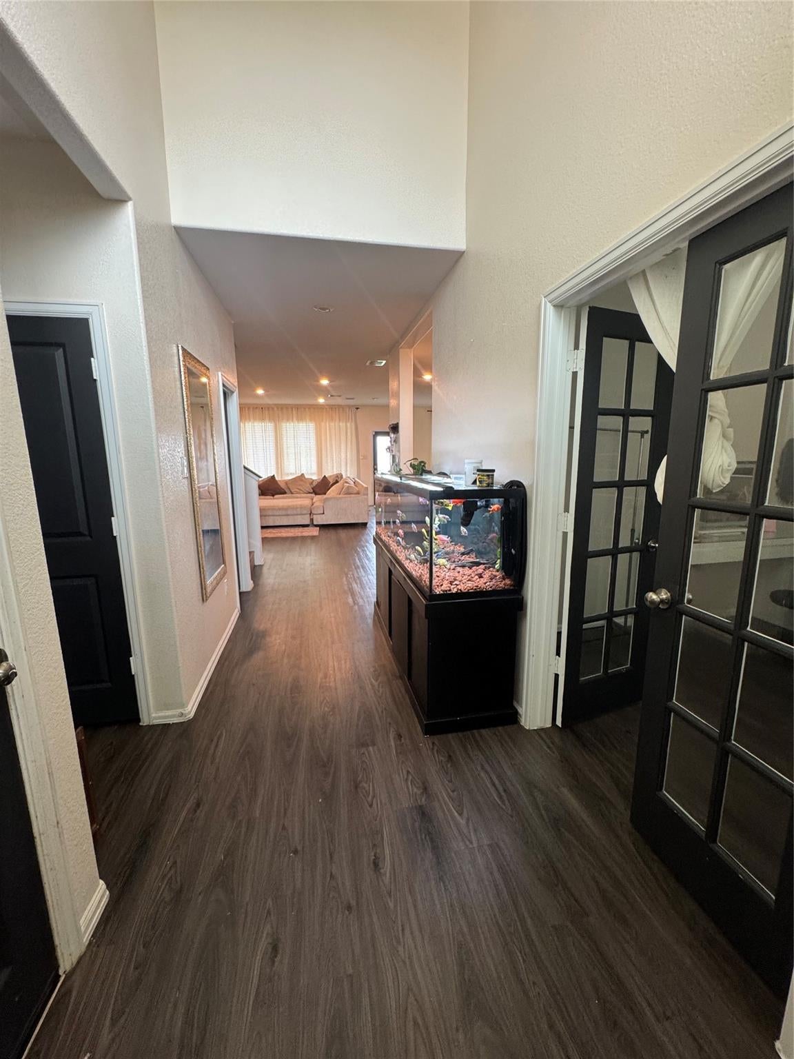 26619 Daylily Grove Street