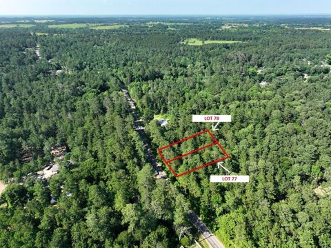 Photo of TBD Pinebrook Drive, Plantersville, TX 77363 (MLS # 89965976)
