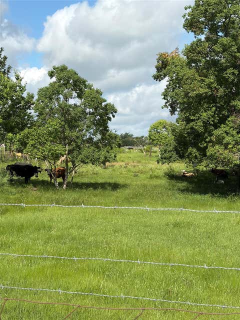 Vacant Land For Sale - George Gordon Road<br/> Fulshear, TX 77441