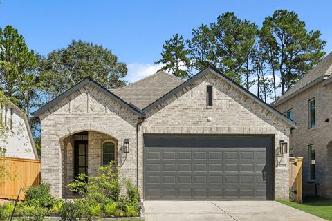 26409 East Skylight Brook Circle Montgomery TX 77316