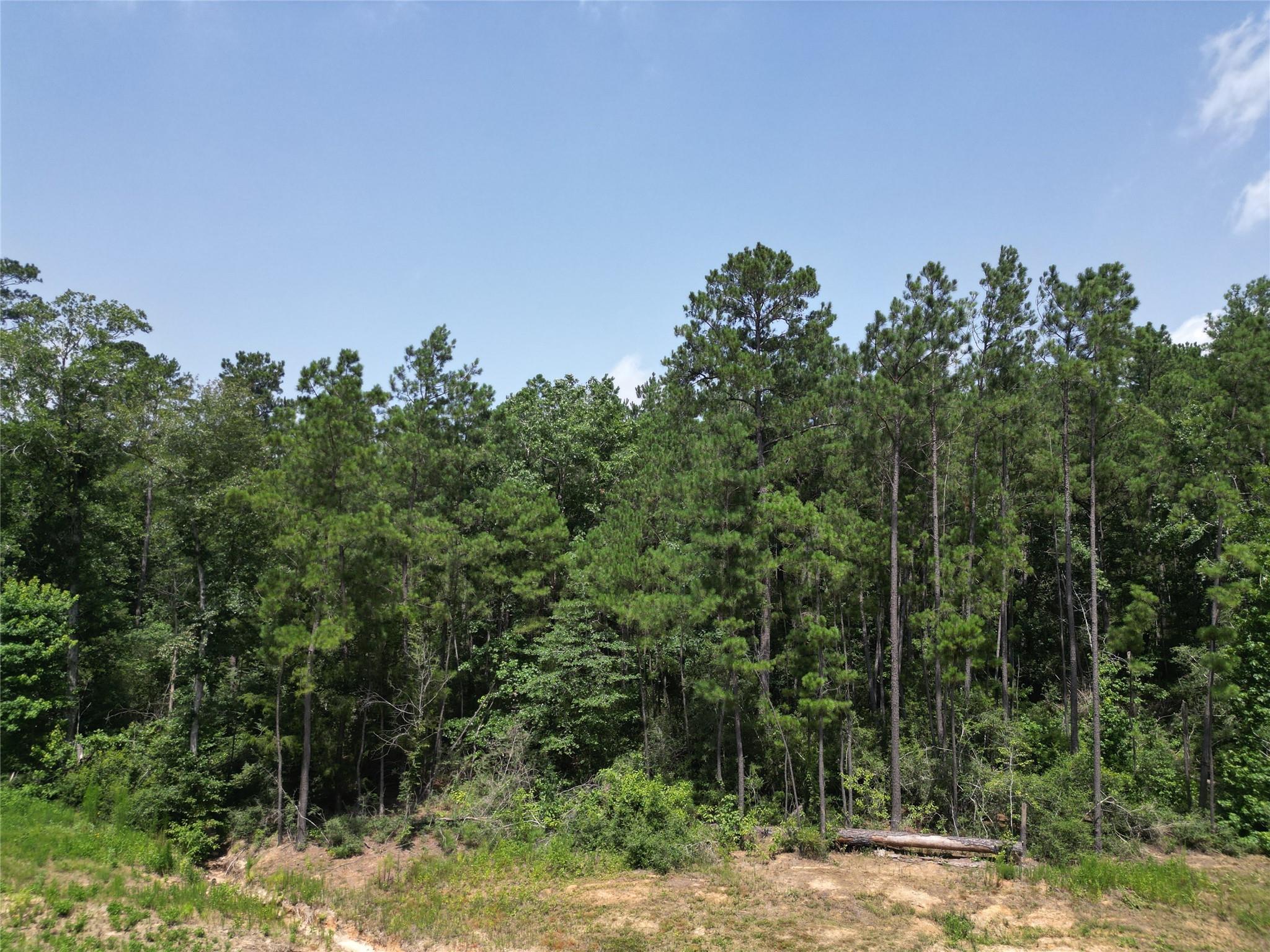15884 Ridge Oak Road