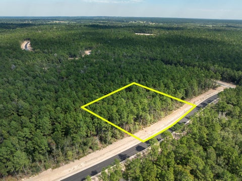 Photo of 24902 Balmorhea Way, Montgomery, TX 77316 (MLS # 25863915)