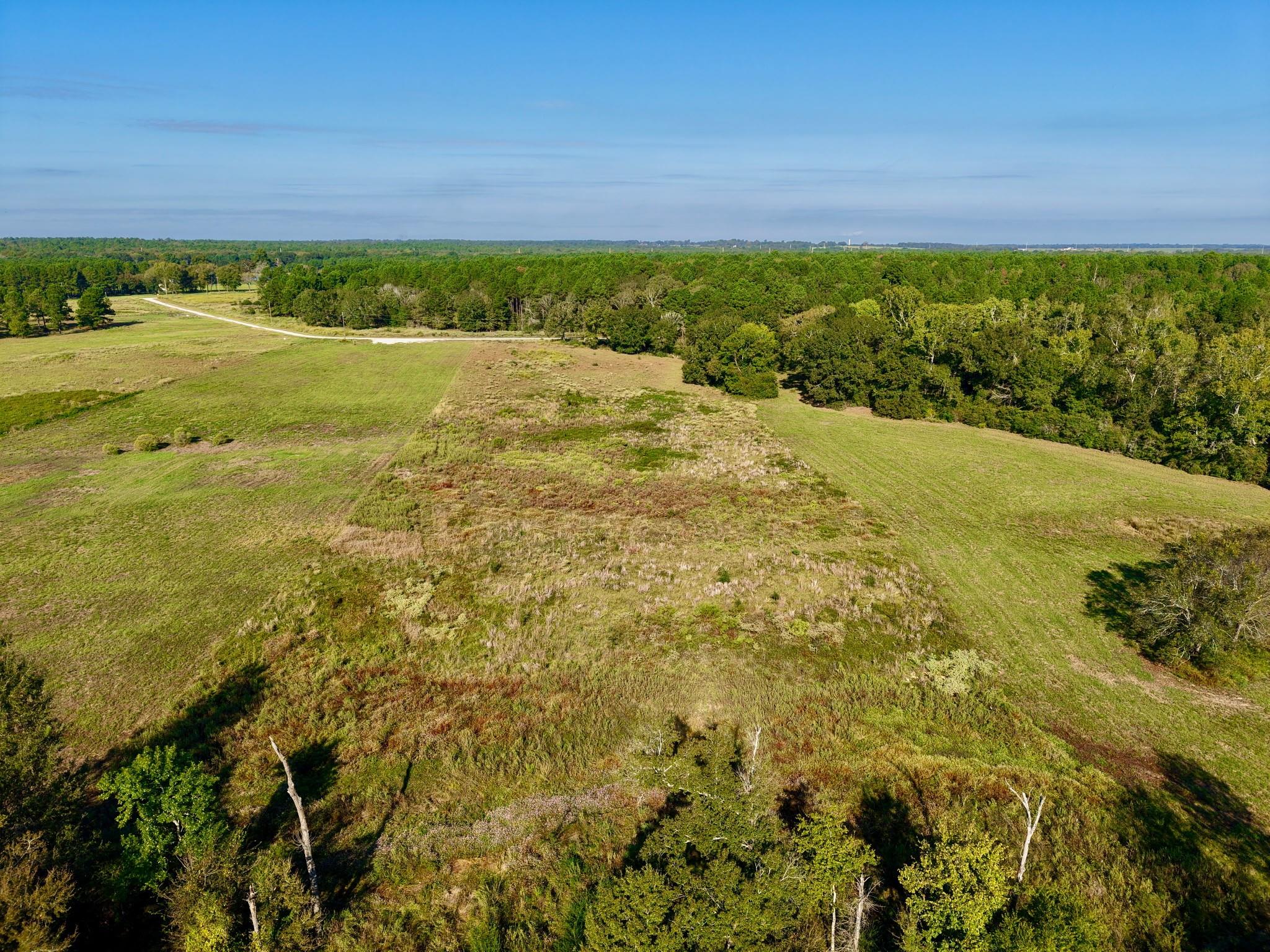 300 Buckhorn Creek Trail