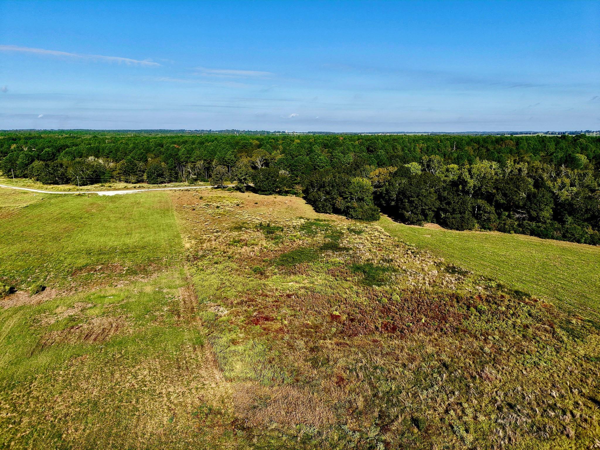 300 Buckhorn Creek Trail