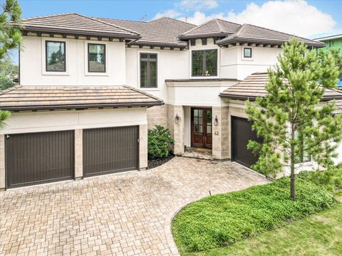 42 Pronghorn Place Spring TX 77389