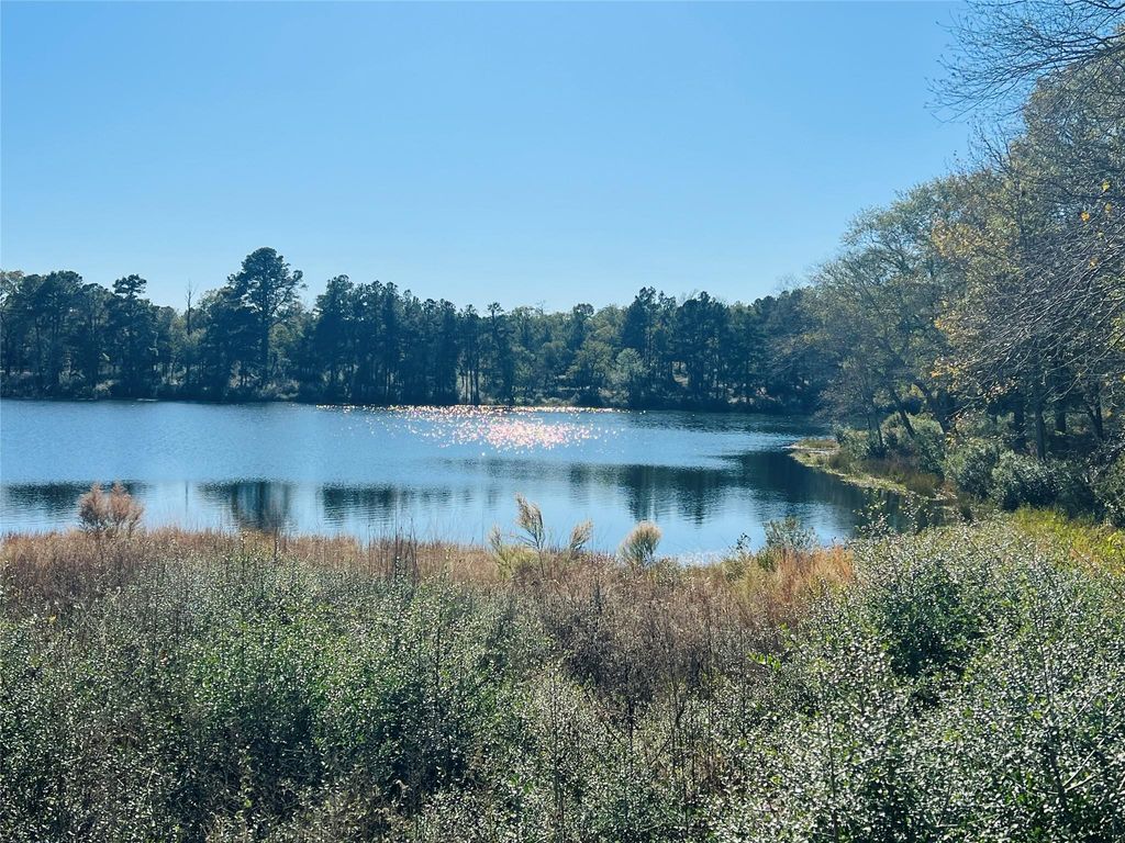 Photo of 112 Private Road 1313, Centerville, TX 75833 (MLS # 57423242)