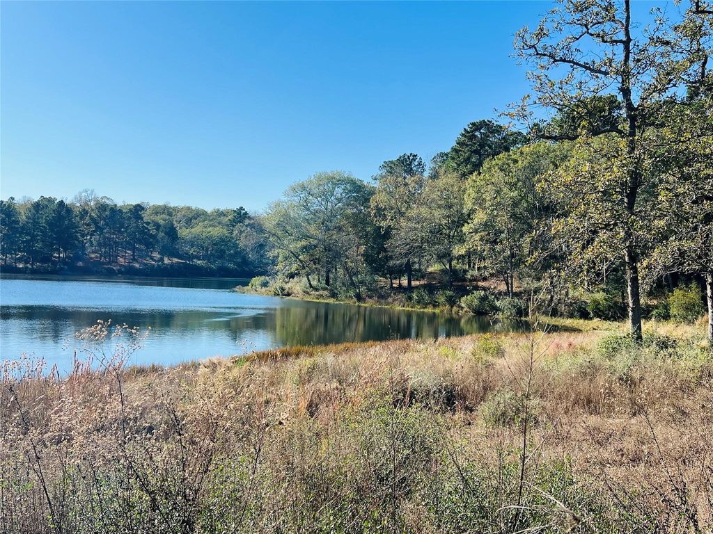 Photo of 112 Private Road 1313, Centerville, TX 75833 (MLS # 57423242)