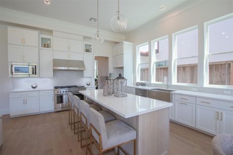 Photo of 1717 Monarch Oaks Street, Houston, TX 77055 (MLS # 58623280)