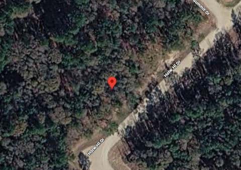 Photo of 159 Hollow Hill Drive, New Waverly, TX 77358 (MLS # 66536727)