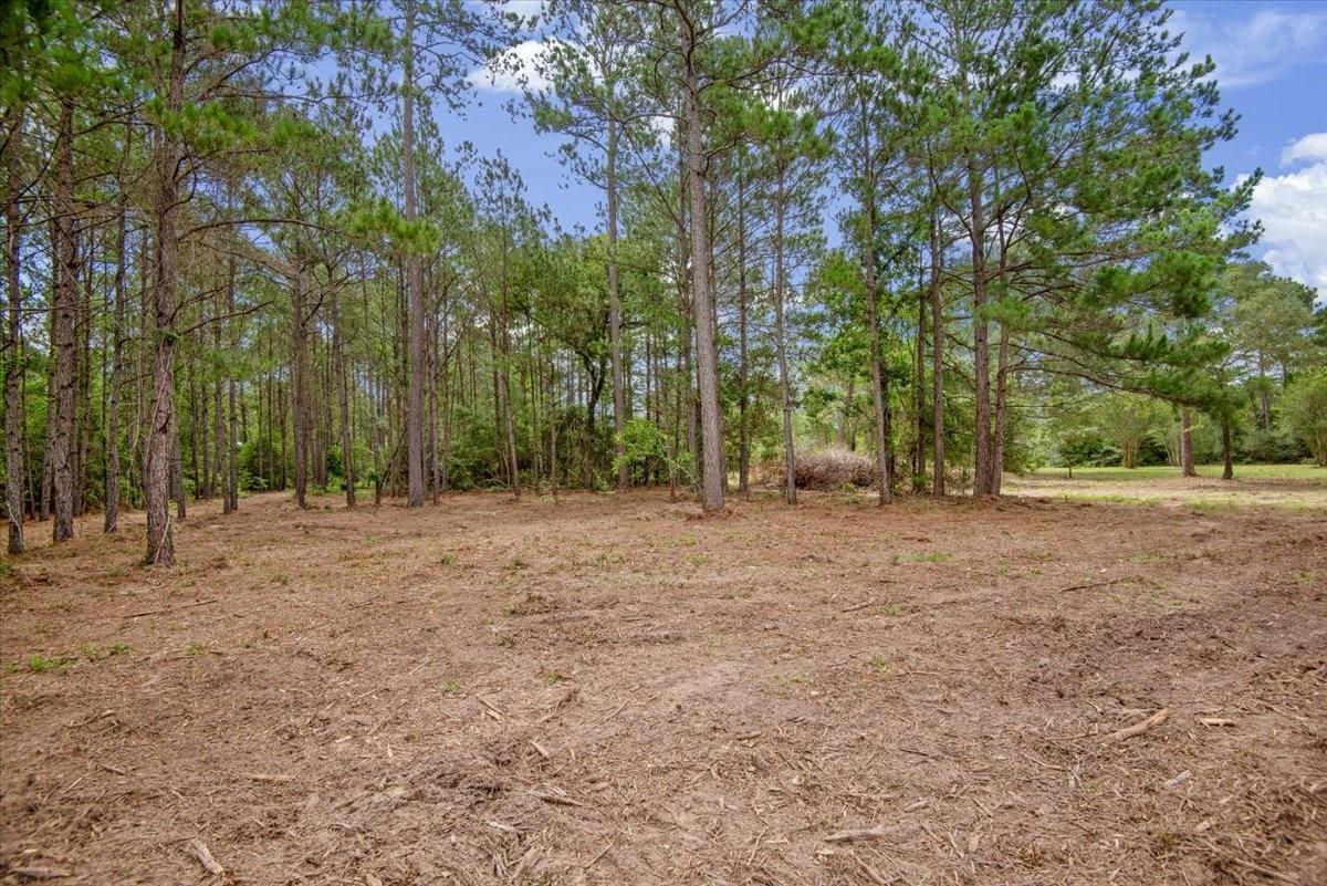 TBD Lot 1 County Road 302