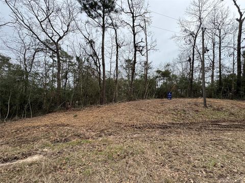 Photo of 69 Wildwood Harbor Circle, Onalaska, TX 77360 (MLS # 46331650)