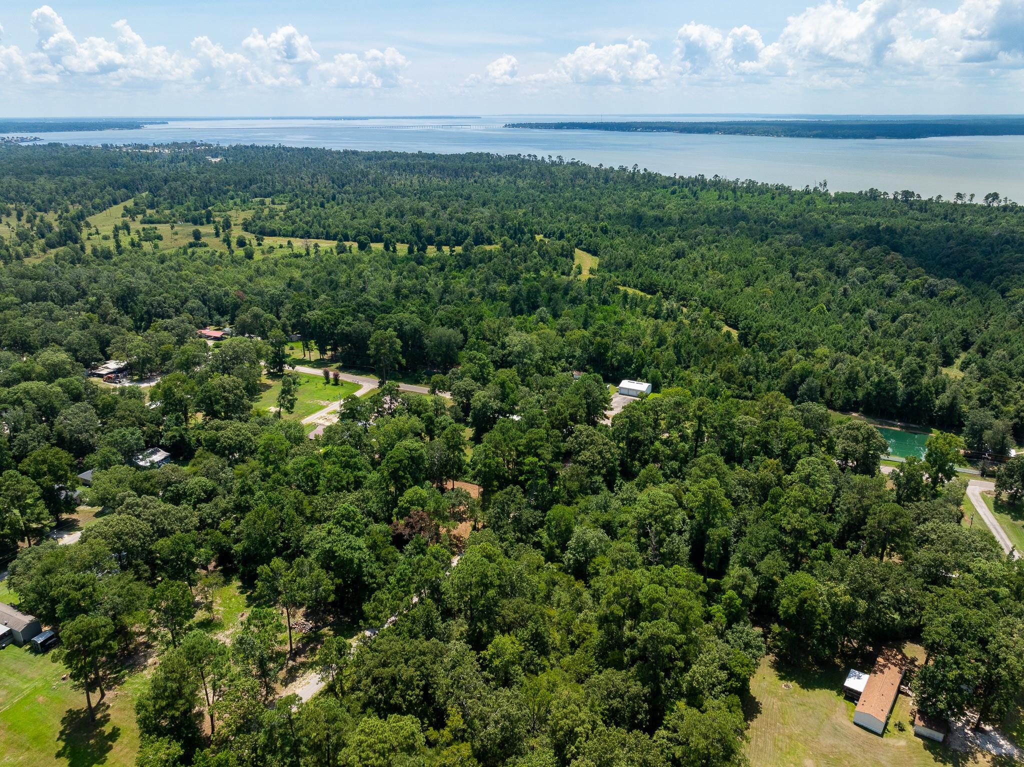 TBA Buzzard Roost Trail Trail