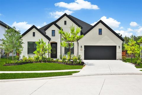 4691 Bridgewood Drive Spring TX 77386