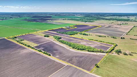 Vacant Land For Sale - 000 Fm 1462 Road<br/> Damon, TX 77430