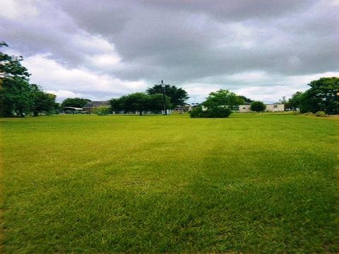 Vacant Land For Sale - .0.0 Willis Street<br/> Eagle Lake, TX 77434