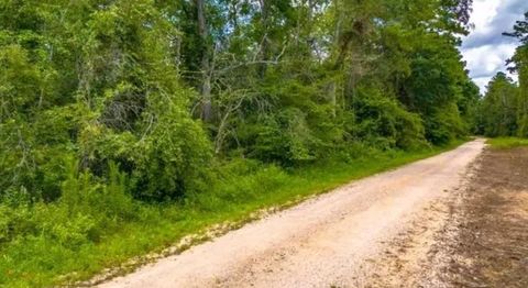 Photo of 1176 Plum Pudding Road, Livingston, TX 77351 (MLS # 31038130)