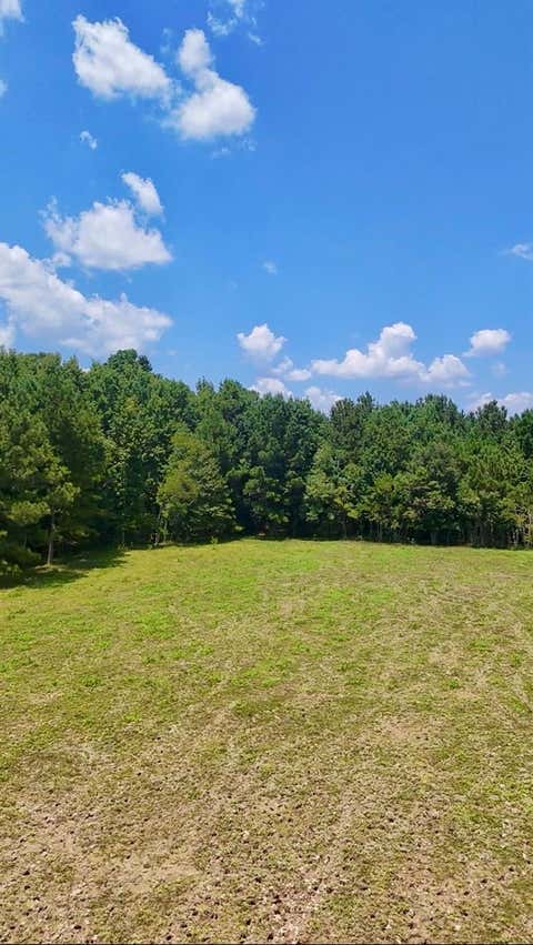Photo of 464 Road 3011a, Dayton, TX 77535 (MLS # 60071443)