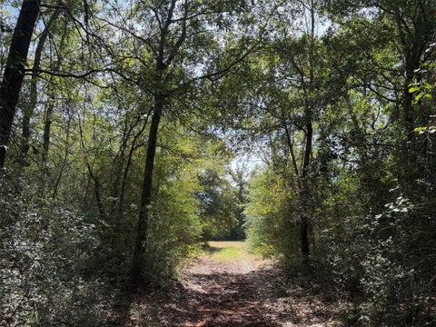 Photo of 12 Pr 4140, Marquez, TX 77865 (MLS # 38782165)