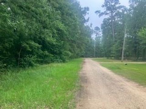 Photo of 0 Wildwood Flower Circle, Livingston, TX 77351 (MLS # 81749421)