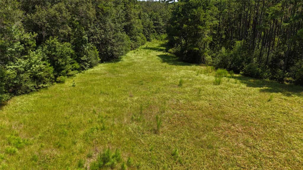 Photo of TBD Walding Road, Livingston, TX 77351 (MLS # 24885246)