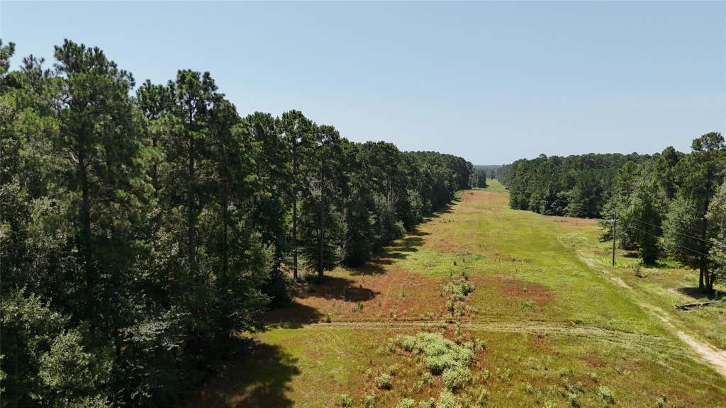 Photo of TBD Walding Road, Livingston, TX 77351 (MLS # 24885246)