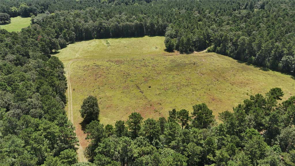 Photo of TBD Walding Road, Livingston, TX 77351 (MLS # 24885246)