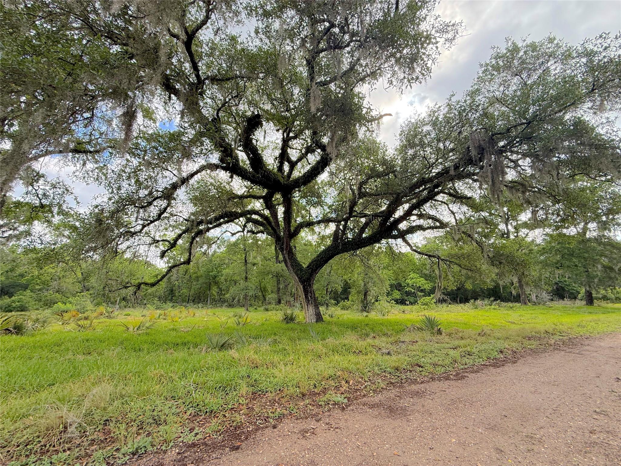 Tract 3 County Road 332
