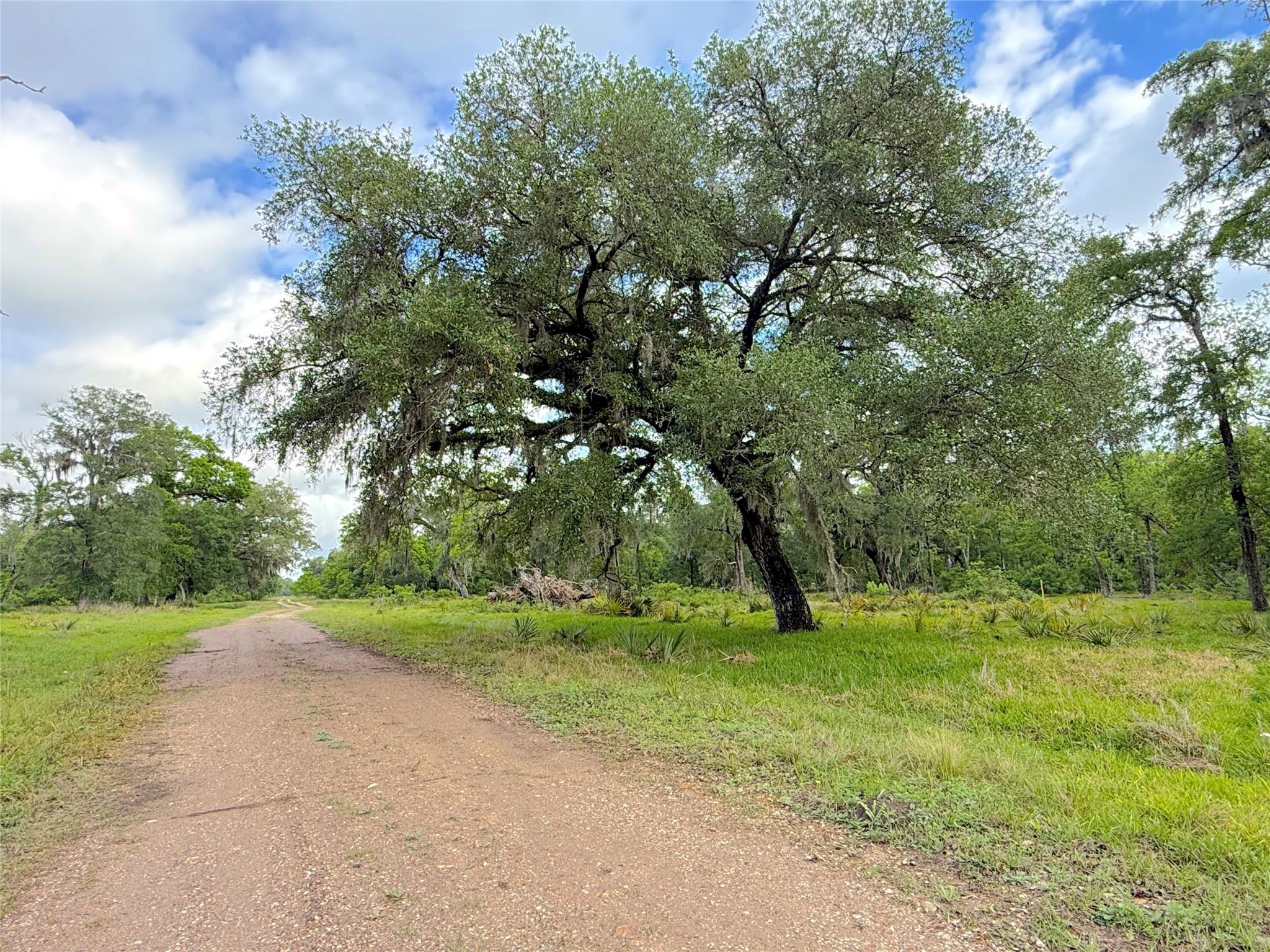 Tract 3 County Road 332