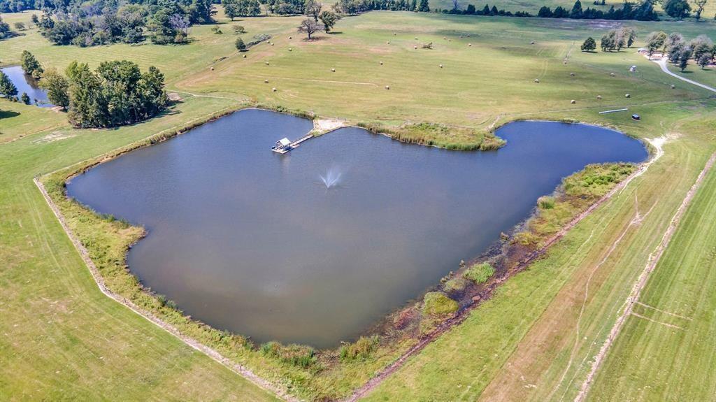 325 County Road 1616