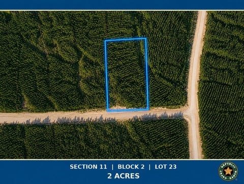 Vacant Land For Sale - 15979 Forest Grove Drive<br/> Willis, TX 77378