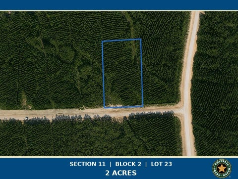 Photo of 15979 Forest Grove Drive, Willis, TX 77378 (MLS # 31391798)
