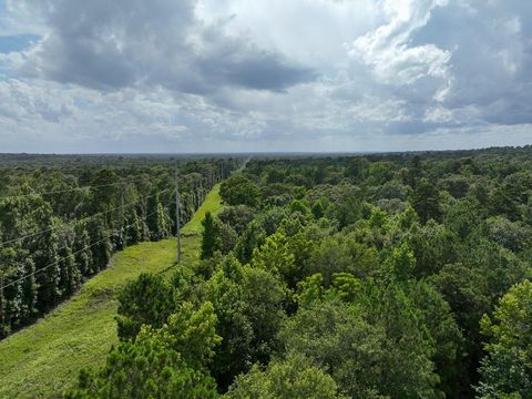Vacant Land For Sale - 1 County Road 2065<br/> Houston County, Crockett, TX 75835