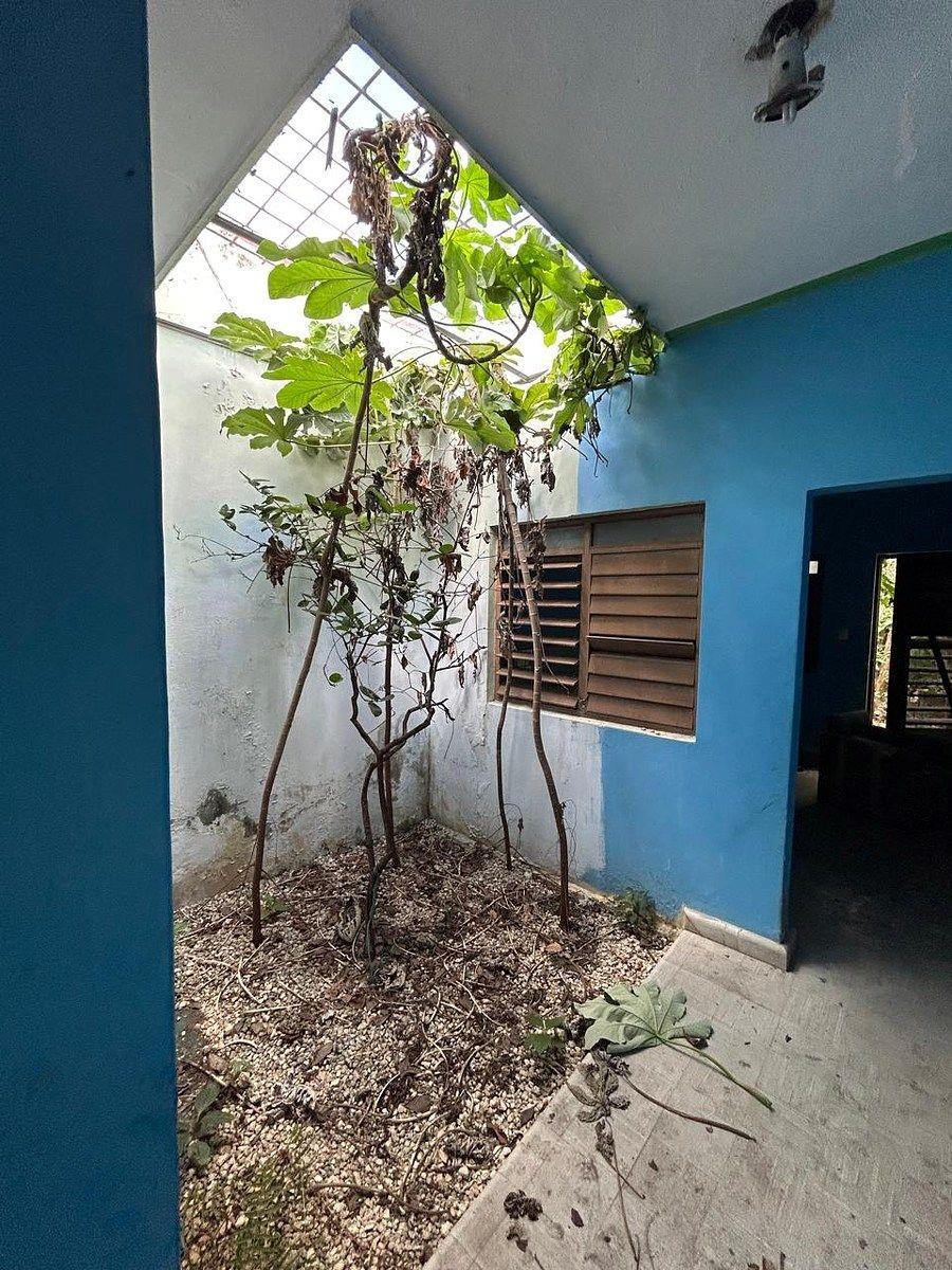 Calle 51 527