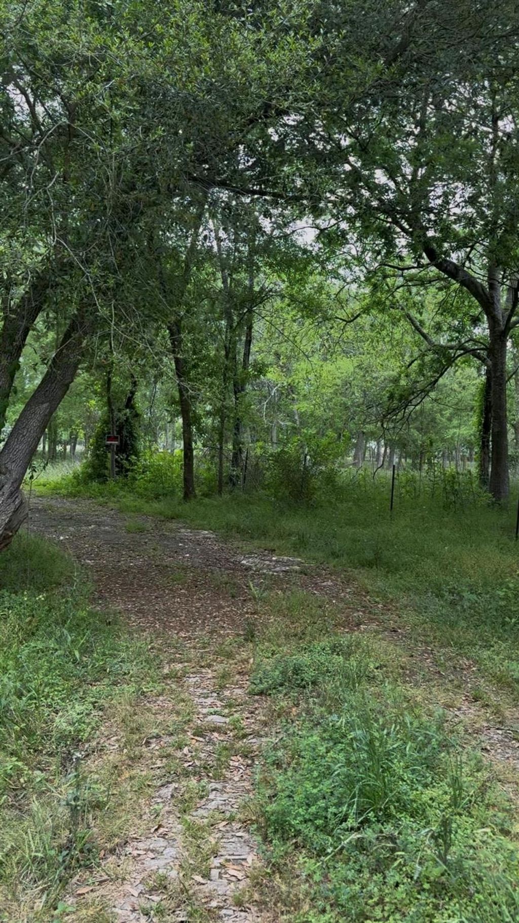 Photo of 5825 Hand Road, Richmond, TX 77469 (MLS # 53480999)