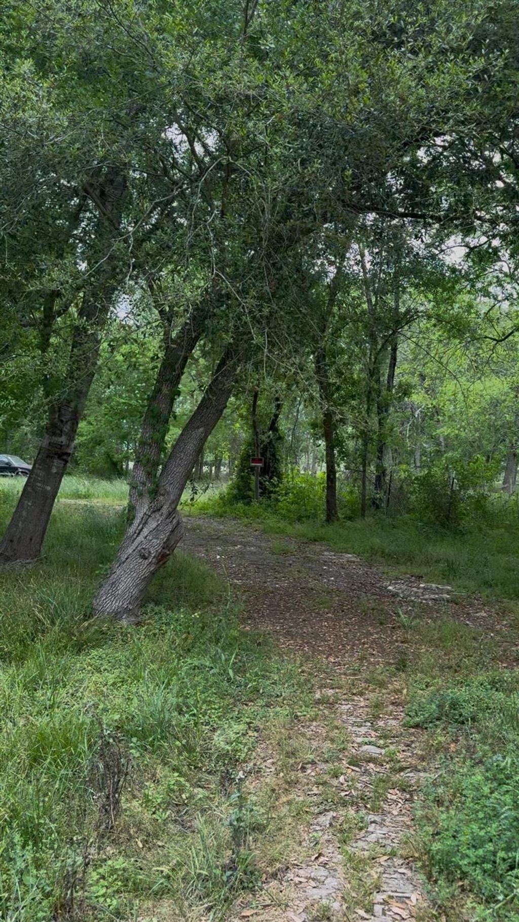 Photo of 5825 Hand Road, Richmond, TX 77469 (MLS # 53480999)