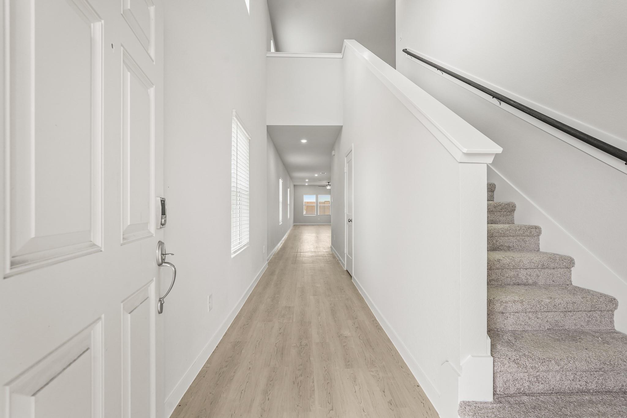 29119 Dandelion Sky Drive
