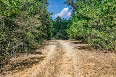 Vacant Land For Sale - 9713 County Road 316<br/> Burleson County, Caldwell, TX 77836