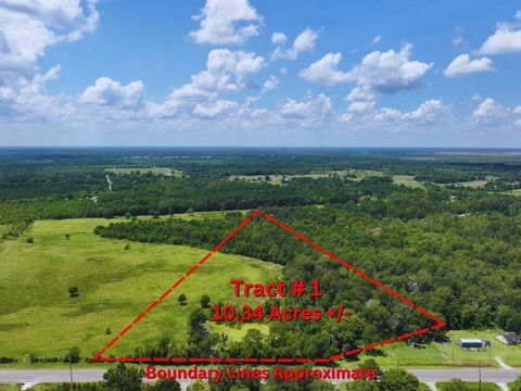 Vacant Land For Sale - TBD N Farm To Market Rd 770 Tract 1 Road<br/> Liberty, TX 77575