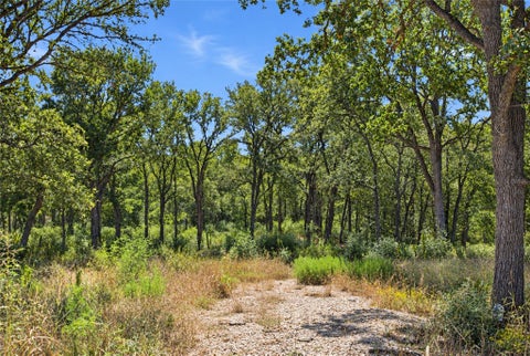 Vacant Land For Sale - 115 Deep Woods Court<br/> Bastrop County, Cedar Creek, TX 78612