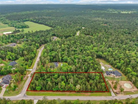 Photo of 23 Grand View, Huntsville, TX 77340 (MLS # 93203264)