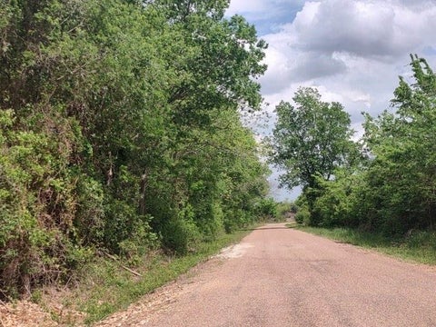 Photo of TBD Cr 328 Tract 7-8 21acres, Caldwell, TX 77836 (MLS # 84132291)