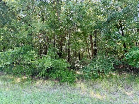 Photo of TBD Underwood, Livingston, TX 77351 (MLS # 75921026)