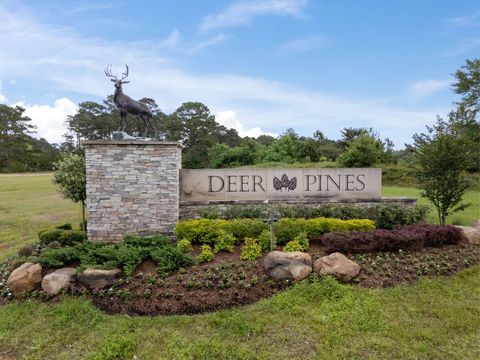 Photo of 13660 Armstrong Street St, Conroe, TX 77303 (MLS # 28305059)