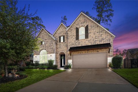 507 Woodsy Pine Court Conroe TX 77304