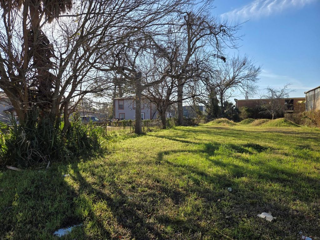 Photo of 405 Eichwurzel Lane, Houston, TX 77009 (MLS # 70638189)