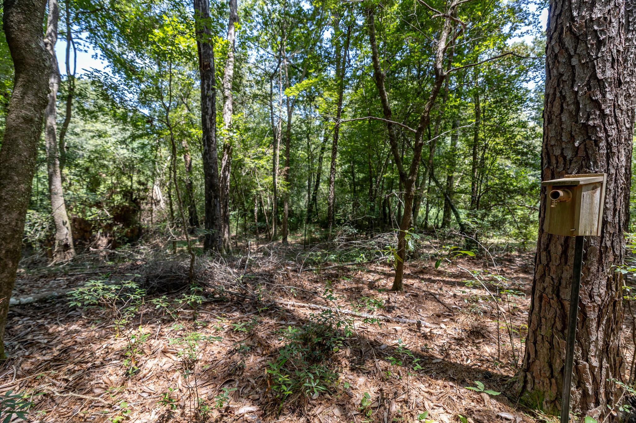 1255 Lee Turner Road Road