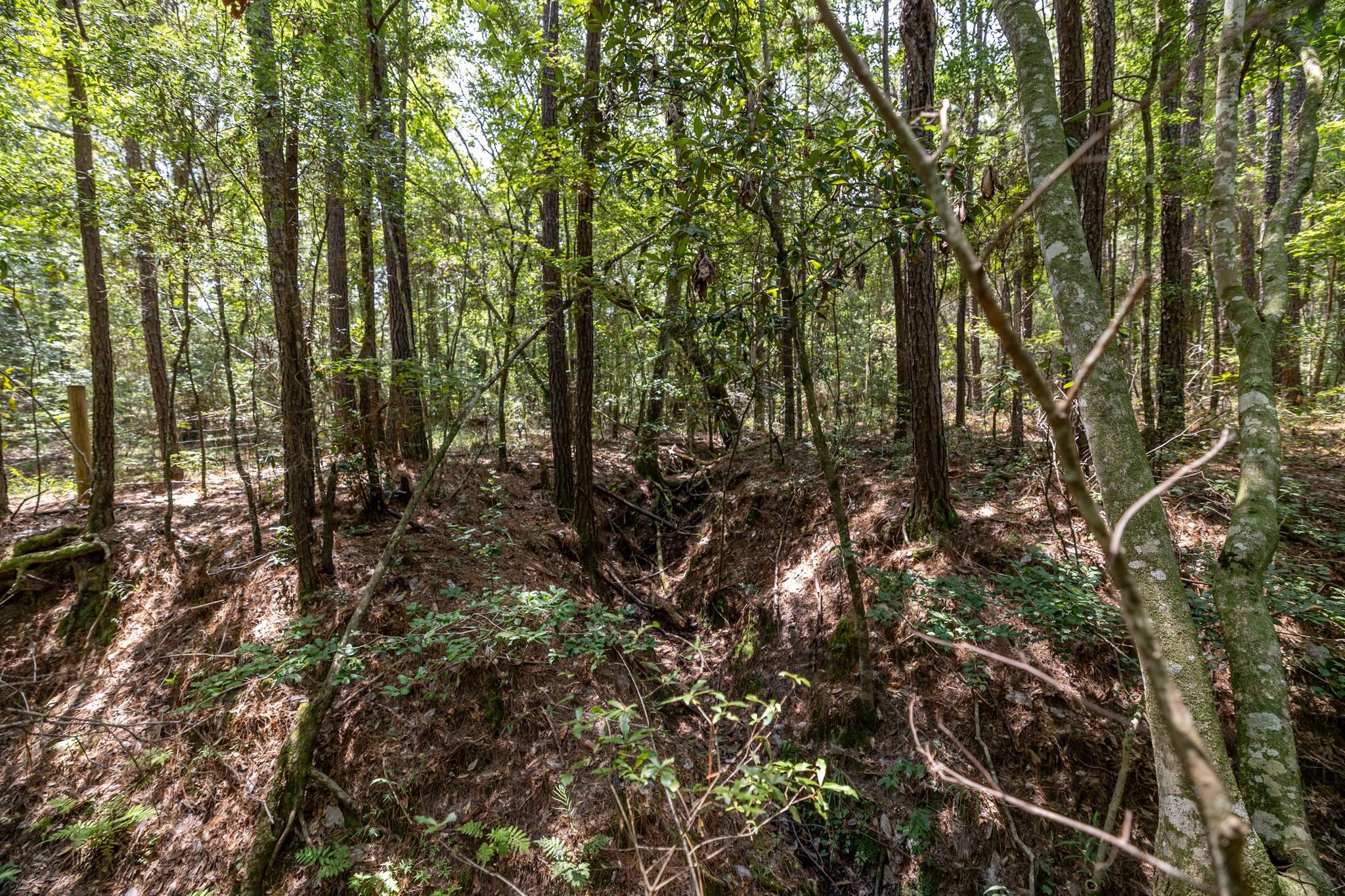 1255 Lee Turner Road Road