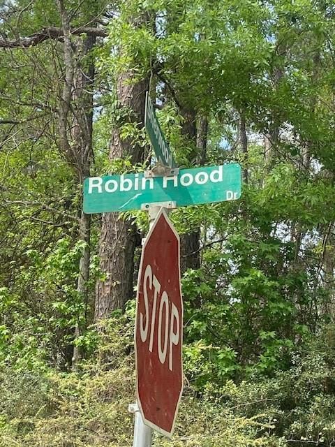Vacant Land For Sale - Robin Hood Lane<br/> Shepherd, TX 77371