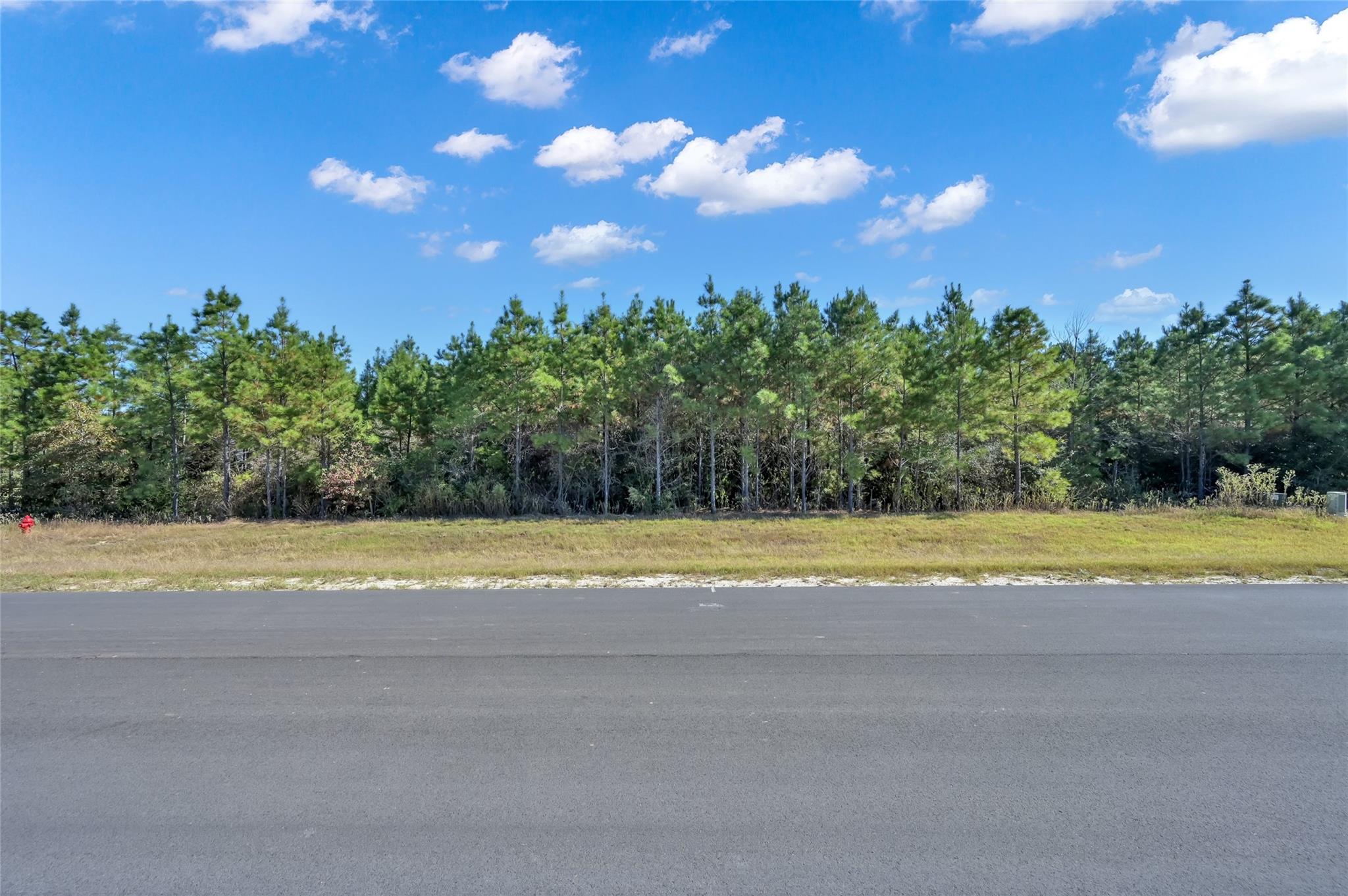 12007 High Branch Way