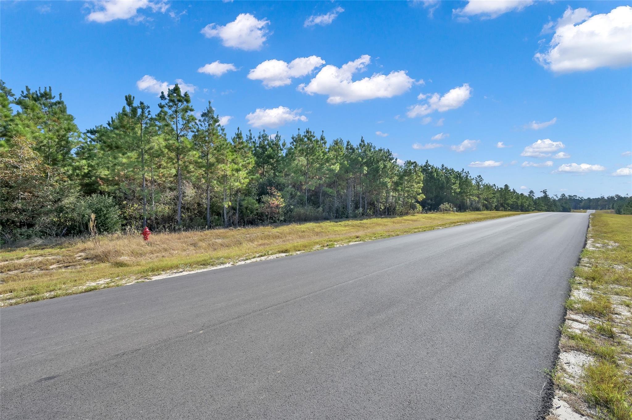 12007 High Branch Way